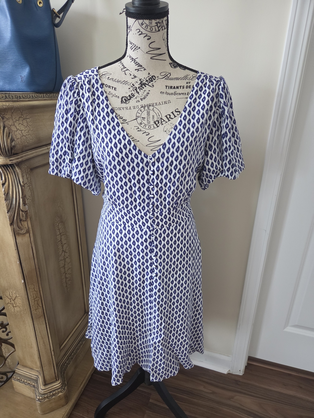 Blue & White V-Neck Button-Front Mini Dress